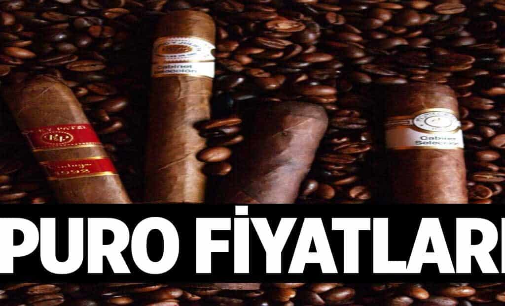 Puro Fiyatlari 1024x622lmK.jpg