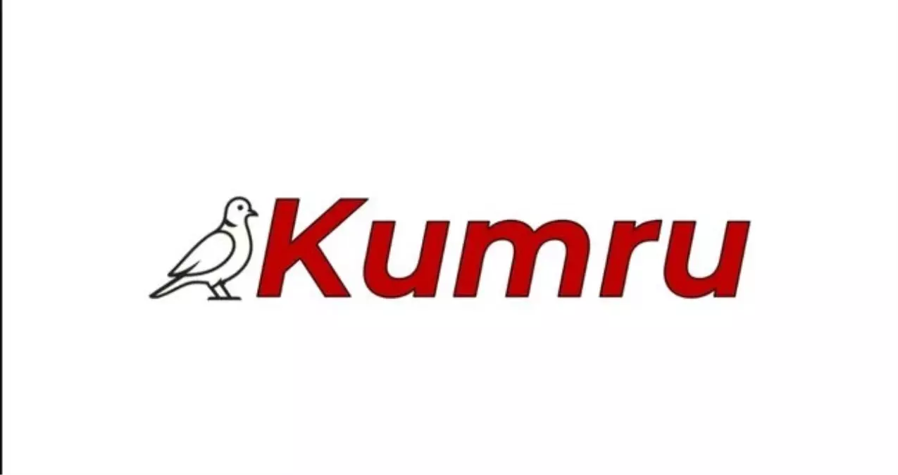 kumru ai sahibi kim yerli yapay zeka kumru ai kurucusu kim hUlXQerw.jpg