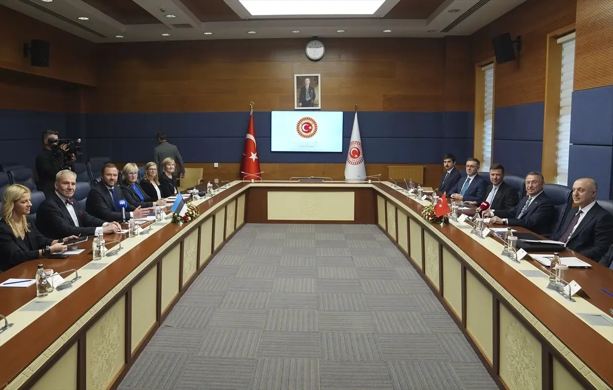 turkiye ve estonya iliskileri gucleniyor pjaK9Pwa.jpg