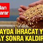 Tmodan kritik karar bugdayda ihracat yasagi 16 ay sonra kaldirildi PYwmMjaj