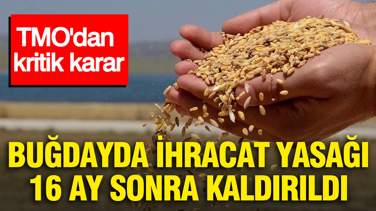 Tmodan kritik karar bugdayda ihracat yasagi 16 ay sonra kaldirildi PYwmMjaj